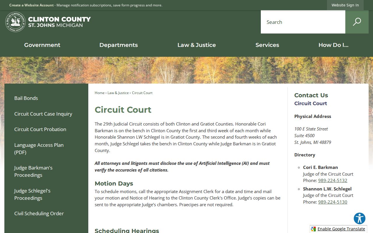 Clinton County criminal court cases at the 29th Circuit Court