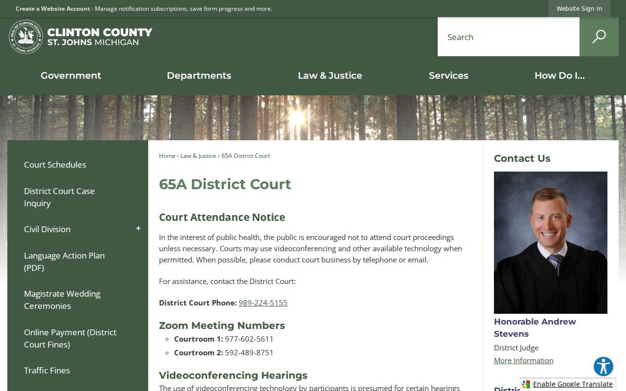 Clinton County criminal case records at 65A District Court